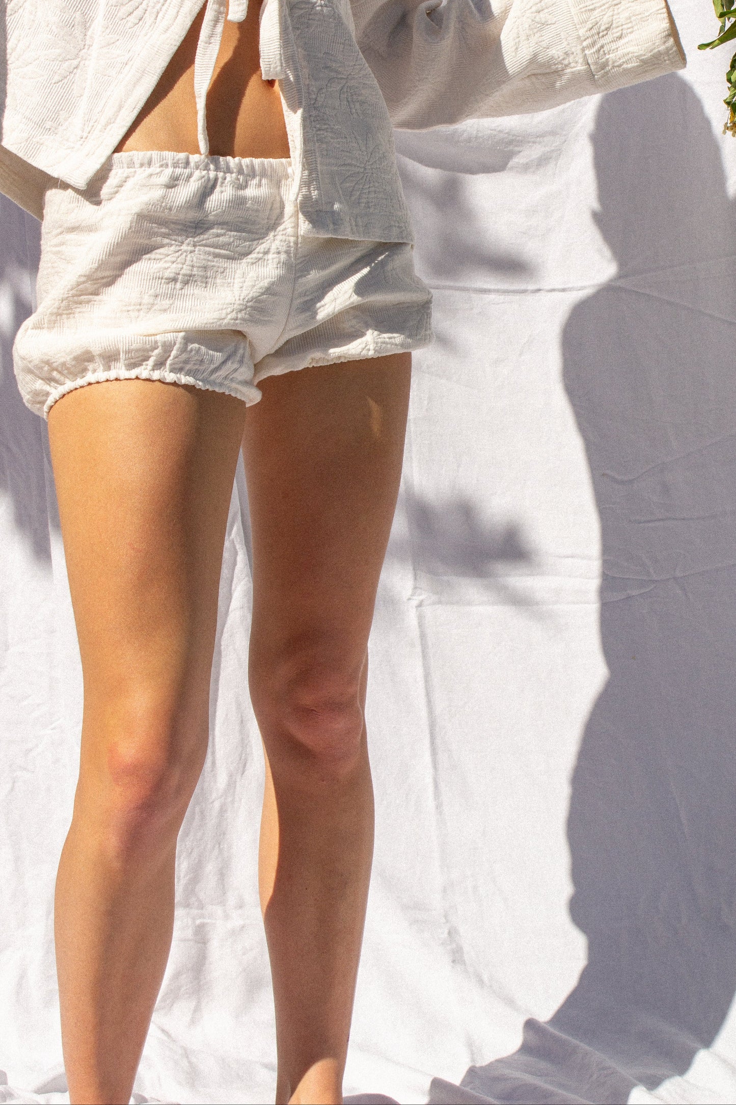 Bloomer - marguerite