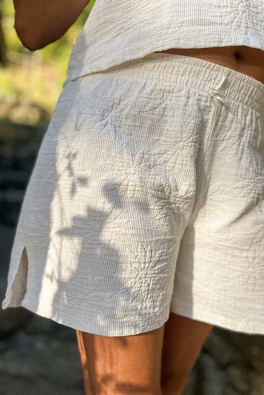 Short Charlotte - marguerite